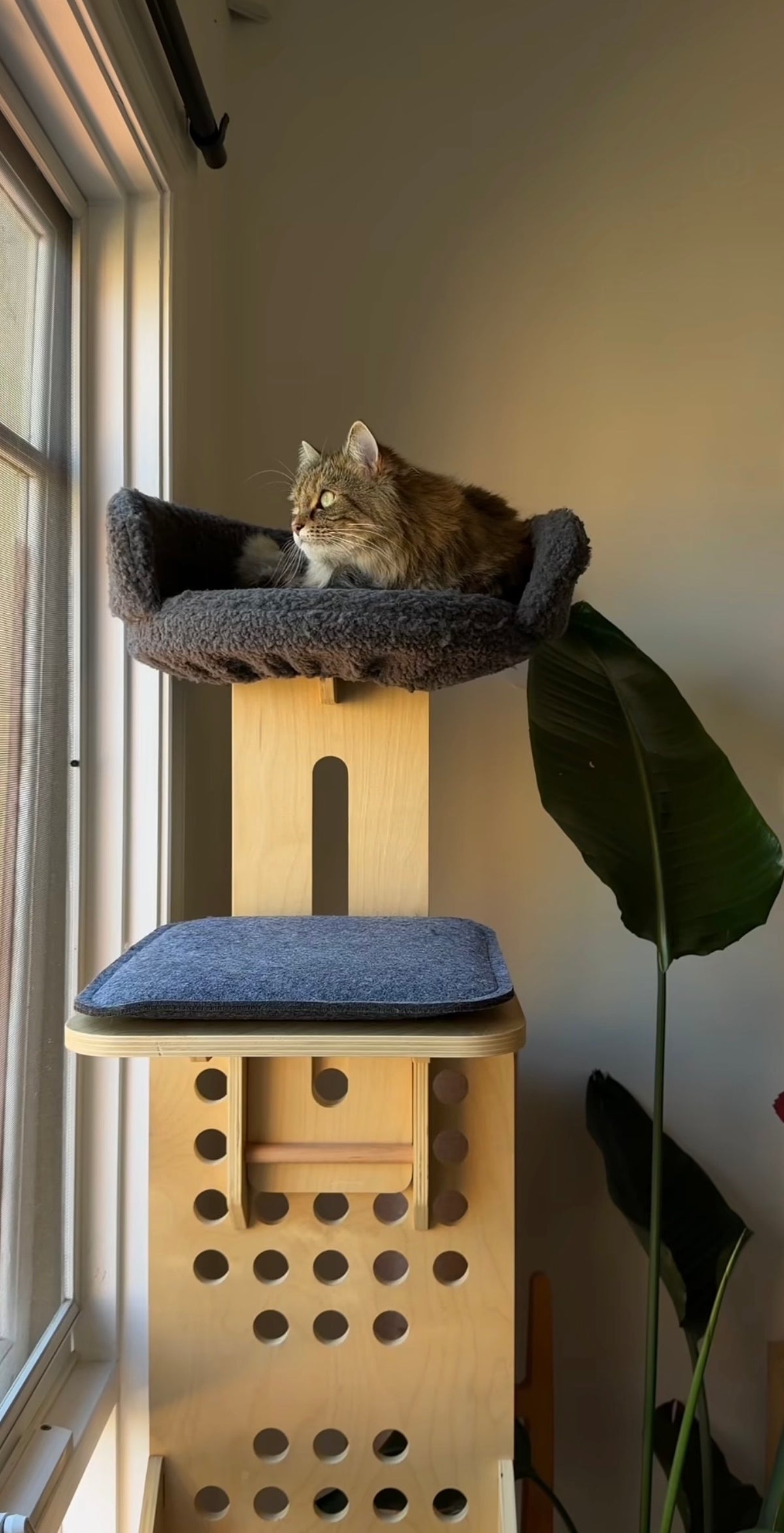 Bench Tower-01